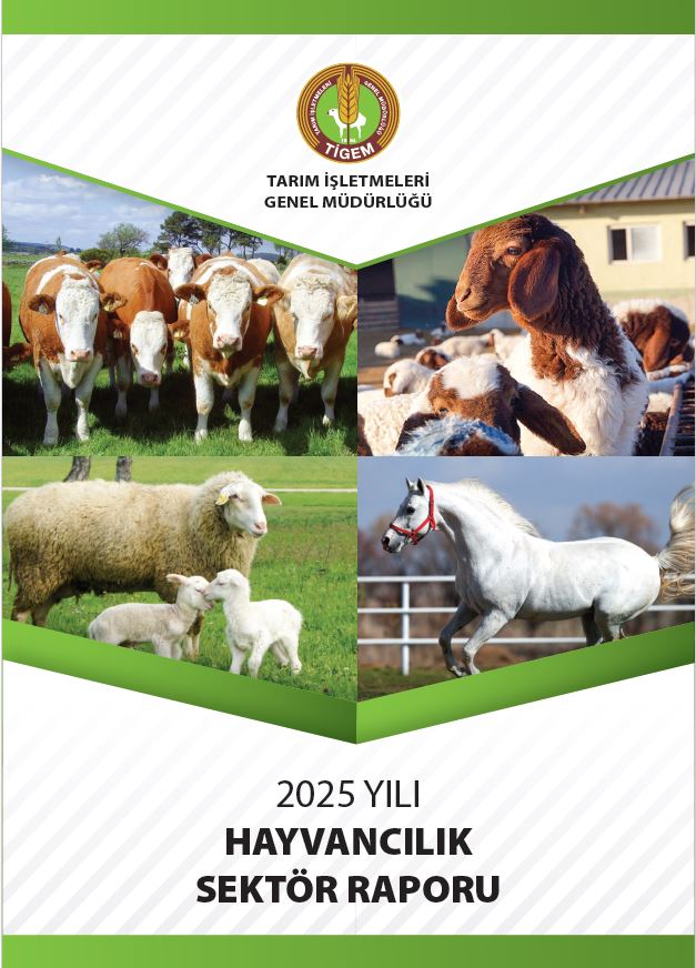 2025 YILI HAYVANCILIK SEKTÖR RAPORU (TİGEM)